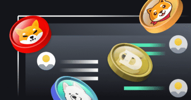 What is a Meme Coin?