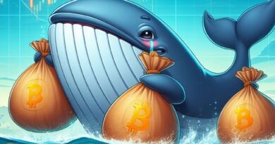How to Track Whale Wallets and Big Moves in Crypto Markets in 2025