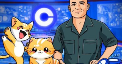 Mochi : The Adorable Cat-Themed Crypto Taking Base by Storm