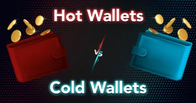 Cold Wallets vs. Hot Wallets