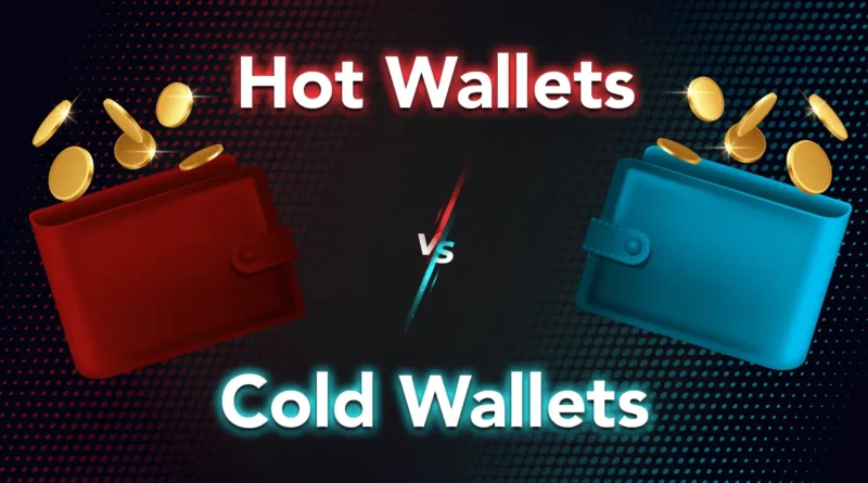 Cold Wallets vs. Hot Wallets