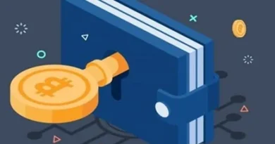 Top 10 Tips to Keep Your Crypto Wallet Safe in 2025